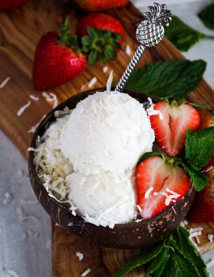 Vegan Coconut Ice Cream