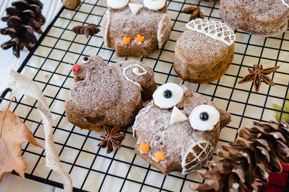 vegan apple cider donuts