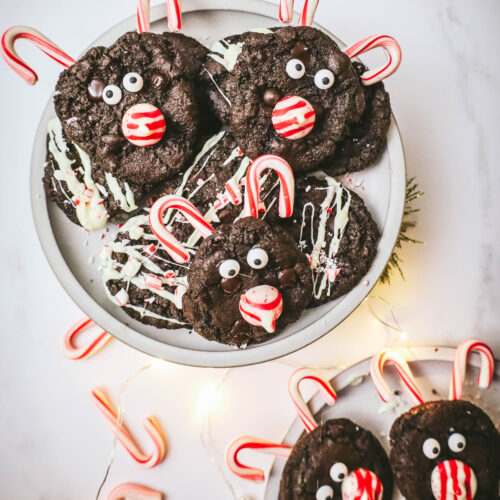 peppermint mocha chocolate cookies